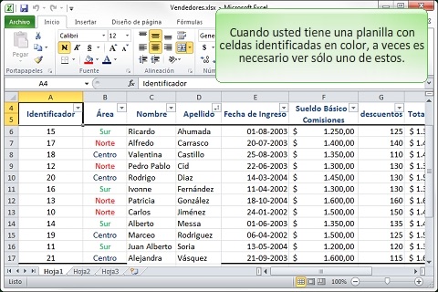 Curso de Excel 2010 - Filtros por Color screenshot 2