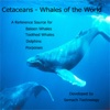 Cetaceans