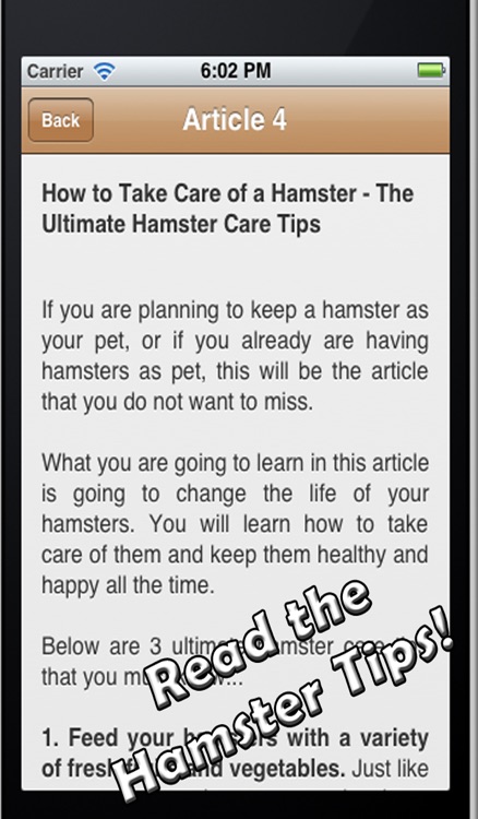 Hamster!