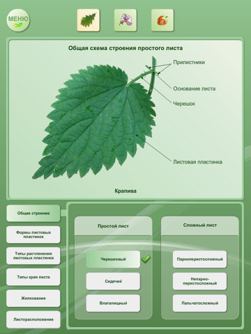 Biology - Plant handbook Free screenshot 3