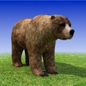Bear Simulator 3D Madness icon