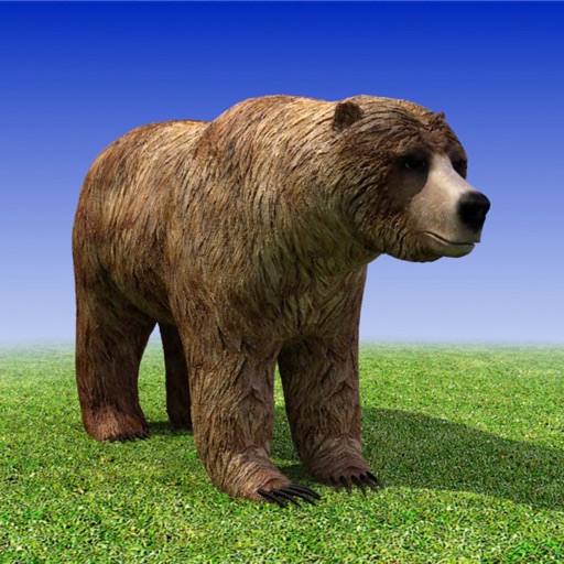 Bear Simulator 3D Madness iOS App