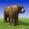 Bear Simulator 3D Madness