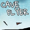 Cave Flyer