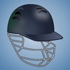 Flick Cricket 2