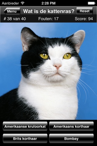 Cat Breed Quiz screenshot 2