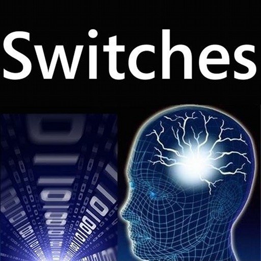 Switches icon