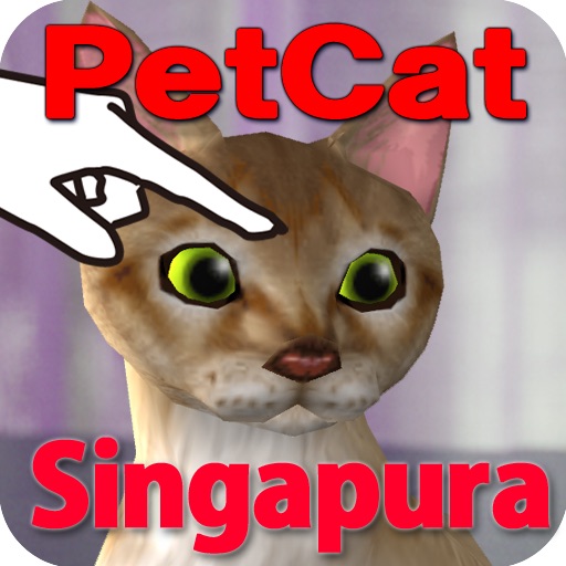 Singapura Petting cat 3D REAL