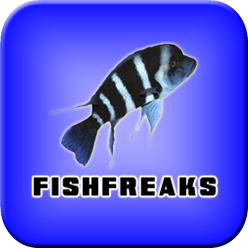 Fish Freaks