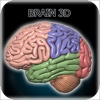 Brain 3D for iPhone