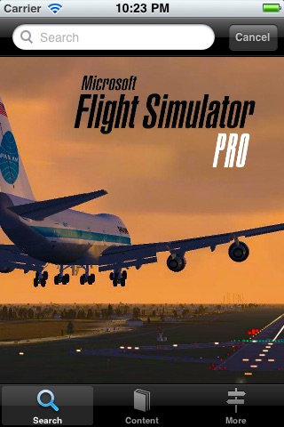 Flight Simulator Pro screenshot 4