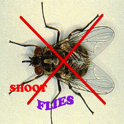 Shoot Flies