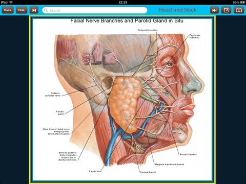 Atlas of Anatomy for iPad screenshot 2