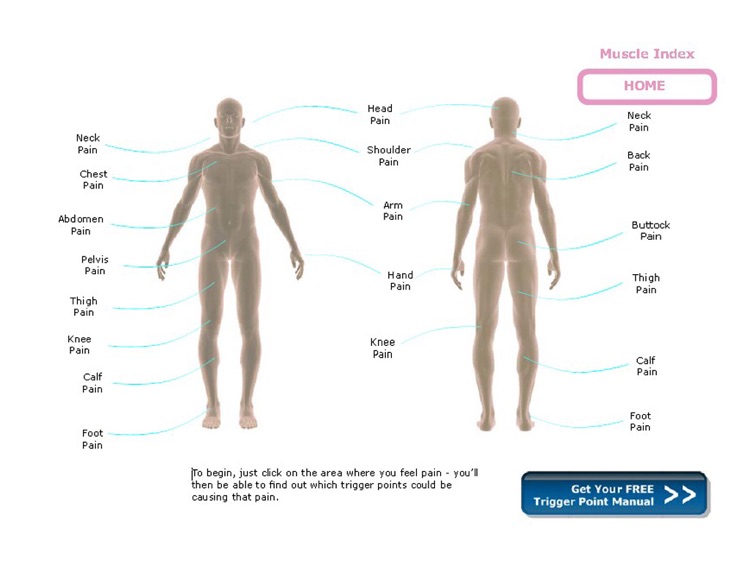 Trigger Point Charts