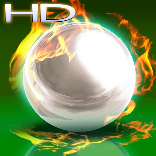 Real Pinball HD - Wild-Games