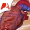 THE MOST BEAUTIFUL HEART APP EVER DESIGNED