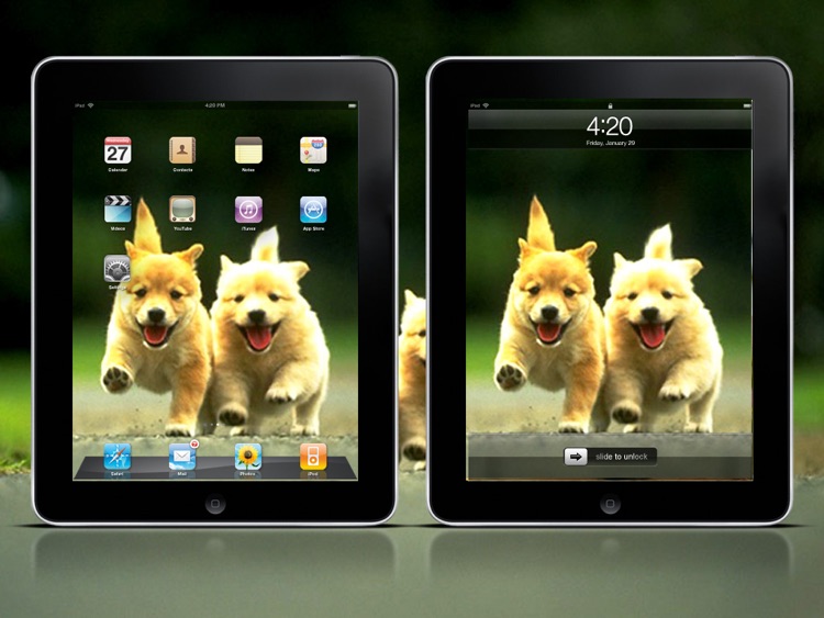 Cool Dog Wallpapers HD Lite screenshot-3