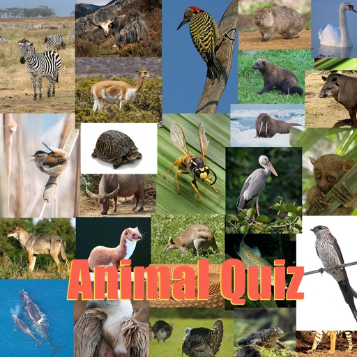 Animal Quiz®