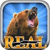Real Trophy Hunting icon