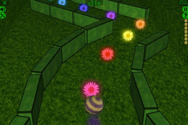 BiiBall 3D Lite