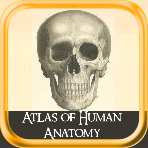 Atlas of Human Anatomy