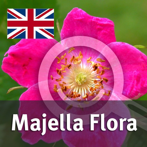 An interactive guide to the woody plants of the Majella National Park (C Italy) iOS App