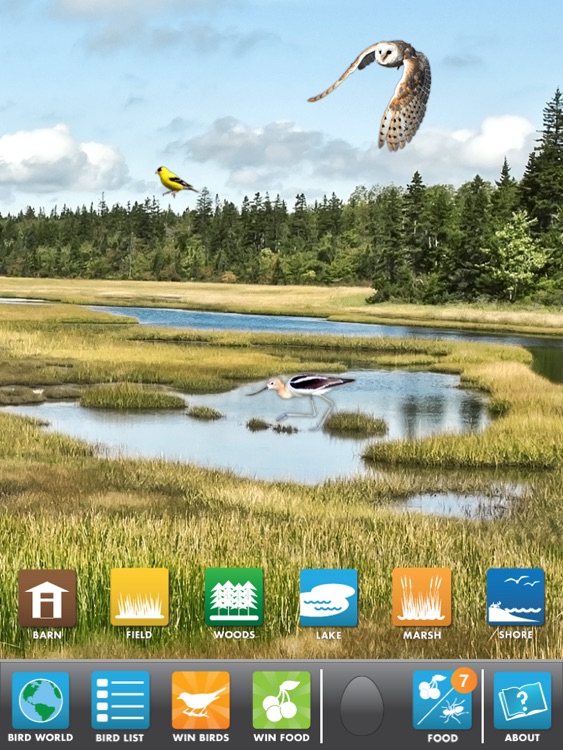 My Bird World HD Lite screenshot-3