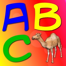 Activities of Alphabet+