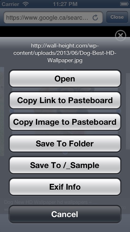 Web Download