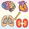 Body Organs 4 Kids - for iPhone and iPod Touch devices