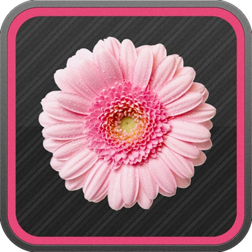 Flower Wallpapers Collection icon