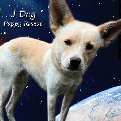 J Dog Jump - Rescue Puppies