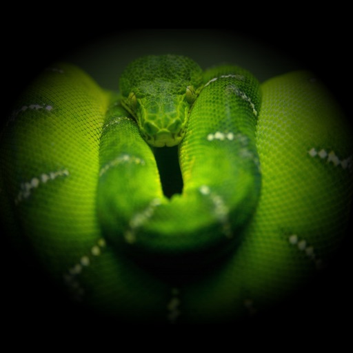 Snakes Collection icon