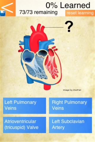 Anatomy Skills - Circulatory System screenshot 2