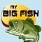 My Big Fish