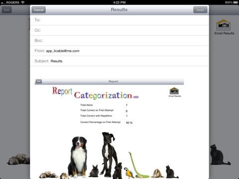 Categorization HD screenshot 4