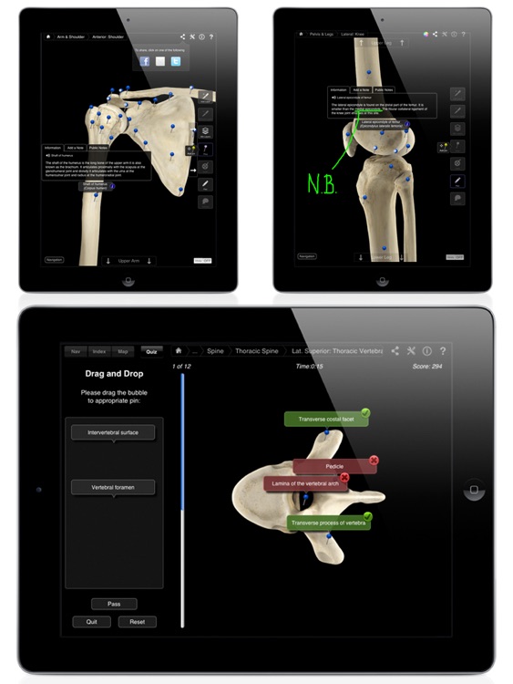 Skeleton System Pro III