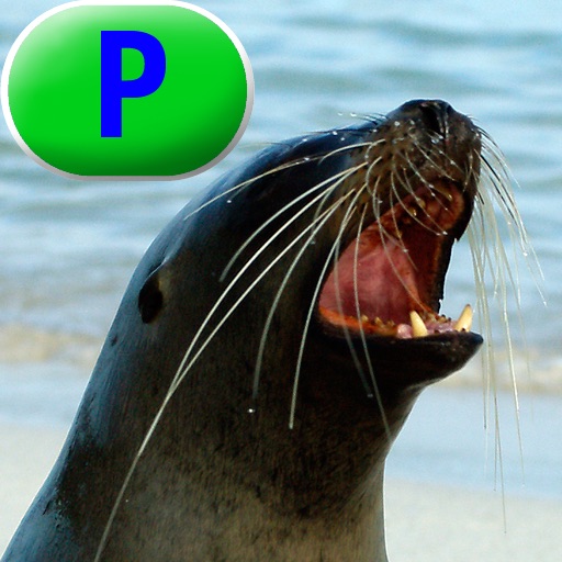 Seals, Sea Lions, and Walruses - LAZ Reader [Level P–second grade] icon