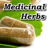 Medicinal Herbs Encyclopedia