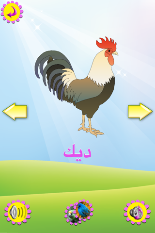 كتاب الطيور screenshot 2