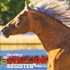 Barrel Horse News Stallion Register for iPad