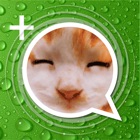 Stickers+ Fun Emotion Gif Photo for Messenger