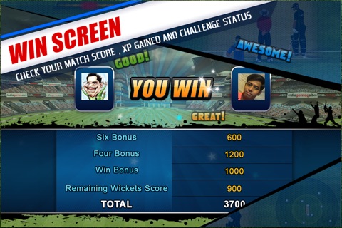Cricket Fever Challenge screenshot 4