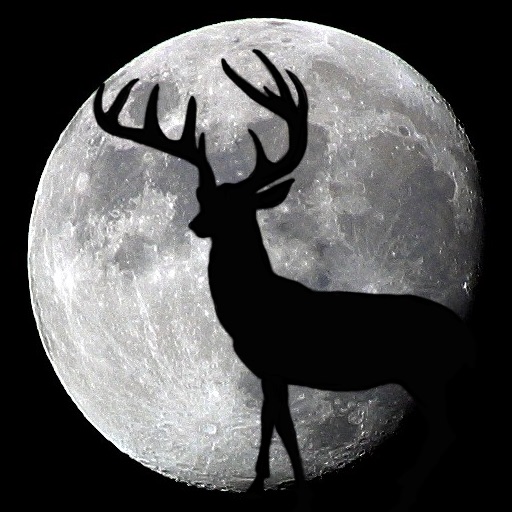 Night Hunter icon