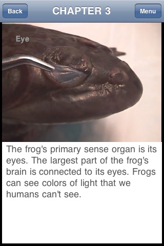 Kid Science: Frog Dissection screenshot 3