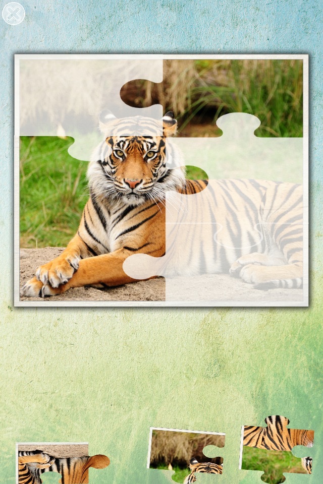 Jungle puzzle - jigsaw puzzle for kids screenshot 3