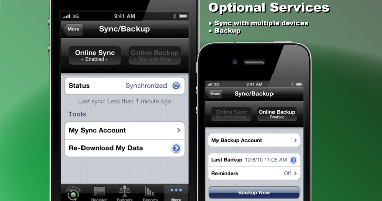 iReconcile - Checkbook, Budgeting, & Reporting screenshot-4