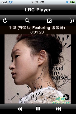 LRC Player Lite(歌詞播放器)