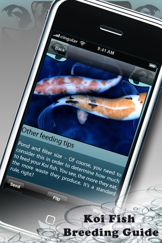 Koi Fish Guide screenshot 2