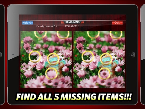 Picture Hunt HD: Find the difference screenshot 2